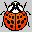 insecte icone 031