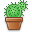 cactus 06